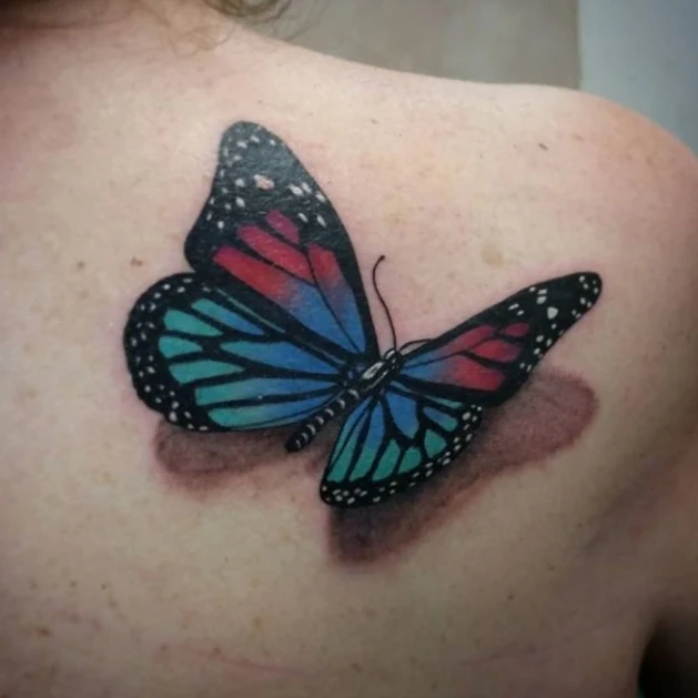 Color butterfly — shoulder, 3D shading and saturated tone